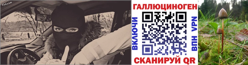 MEGA маркетплейс  где продают   Подольск  Галлюциногенные грибы Psilocybine cubensis 